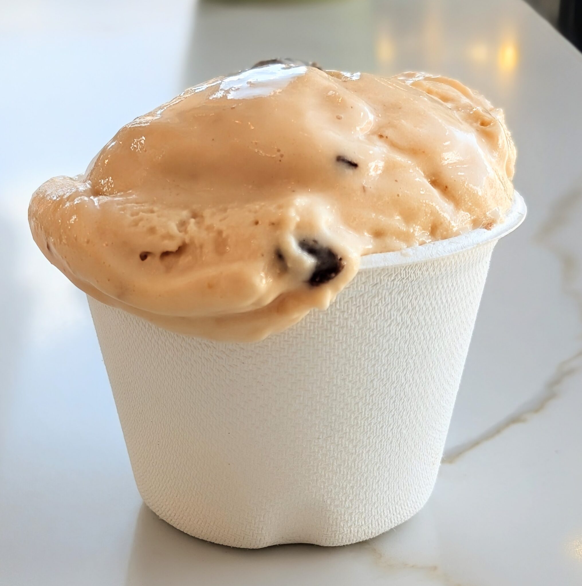 salty local - Image 2